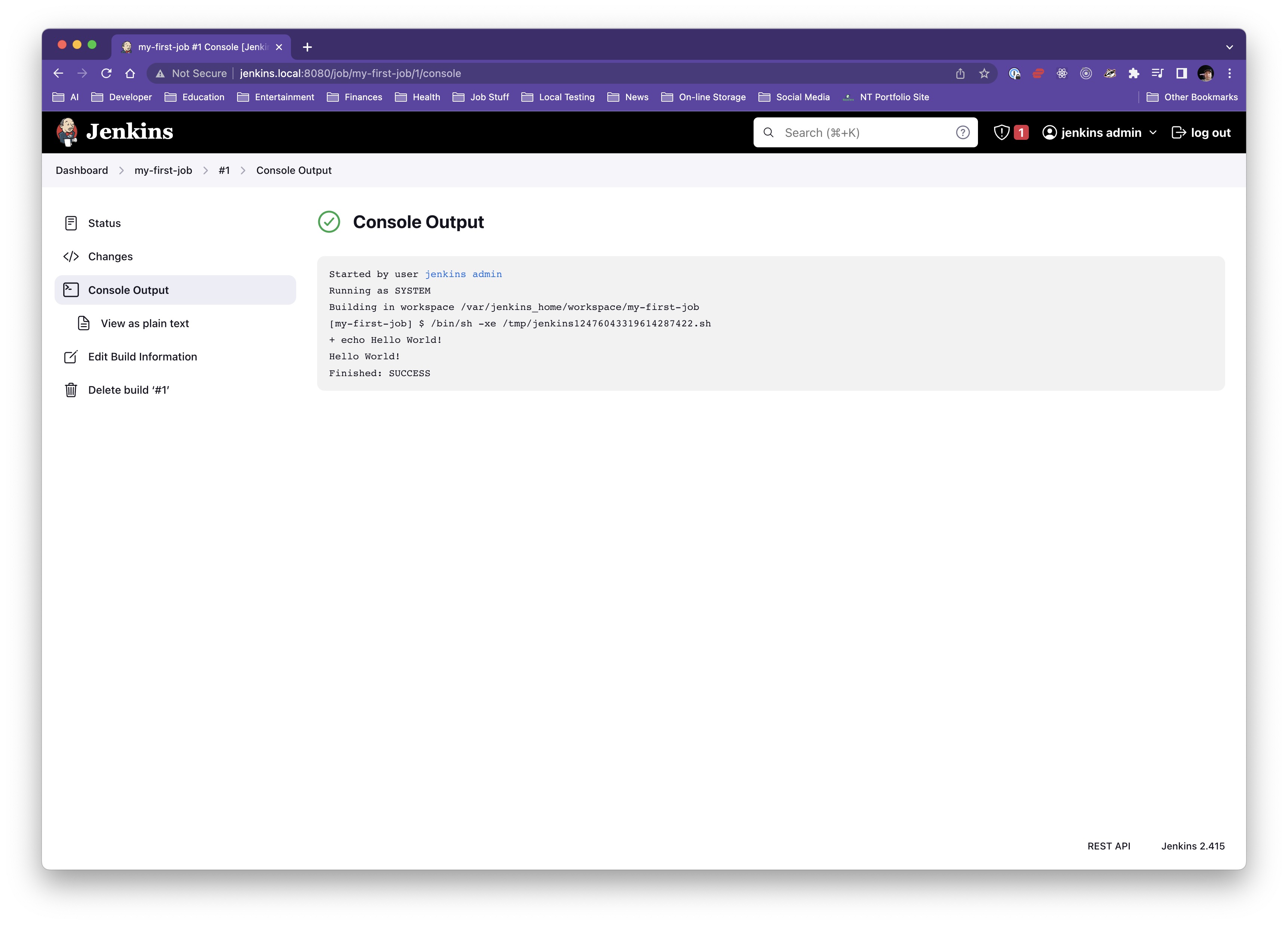 job console output
